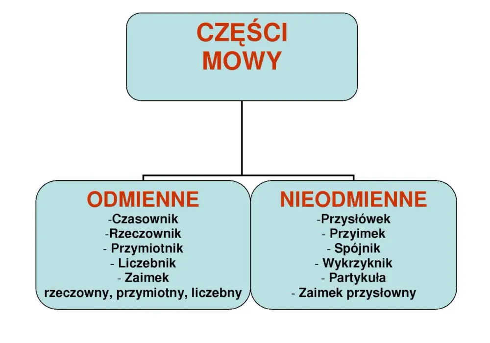 Części mowy a części zdania: Kluczowa różnica i jak je rozróżnić