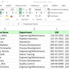 Fragment arkusza kalkulacyjnego Excel z danymi pracowników: imię, dział, SS#, telefon.