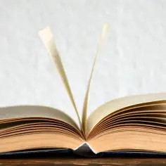Teksty kultury jako użyteczne narzędzie wypowiedzi społecznej w walce z problemami społecznymi