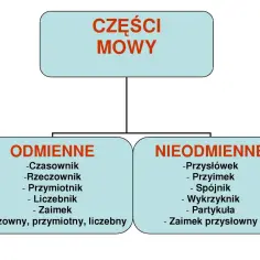 Schemat przedstawia podział części mowy na odmienne (czasownik, rzeczownik, przymiotnik, liczebnik, zaimek) i nieodmienne (przysłówek, przyimek, spójnik, wykrzyknik, partykuła, zaimek przysłowny).