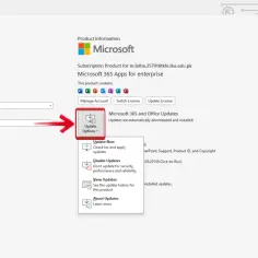 Wybierz "Update Options", aby sprawdzić, jak pobrać PowerPoint i inne aktualizacje.