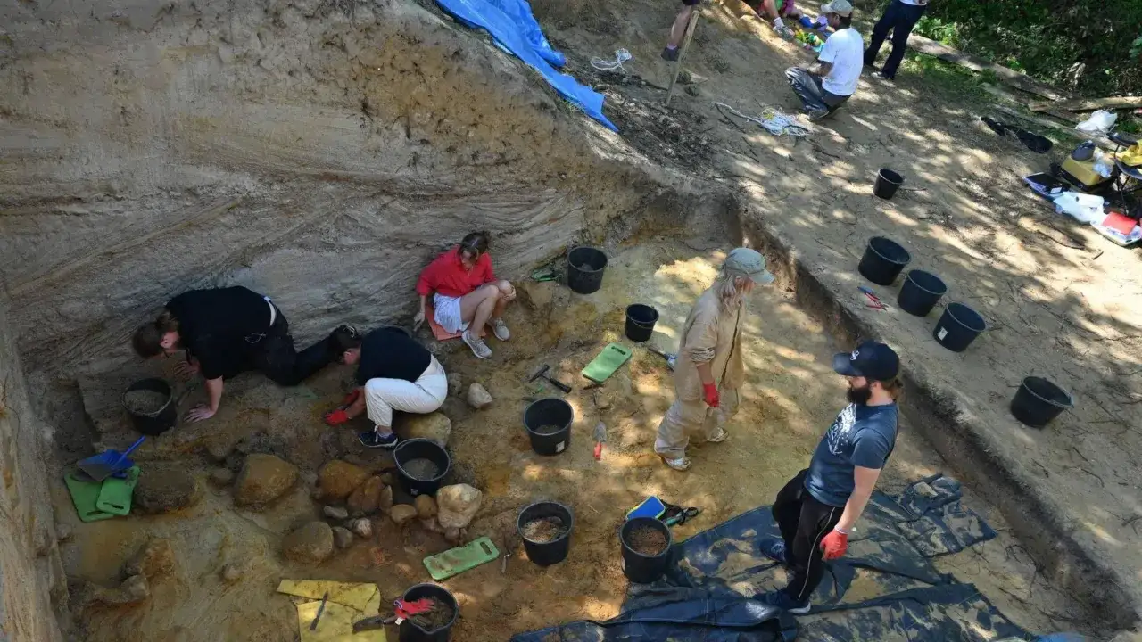 Odkrywanie przeszłości na wykopaliskach to klucz do tego, jak zostać archeologiem. Ludzie pracują w wykopie, zbierając artefakty.