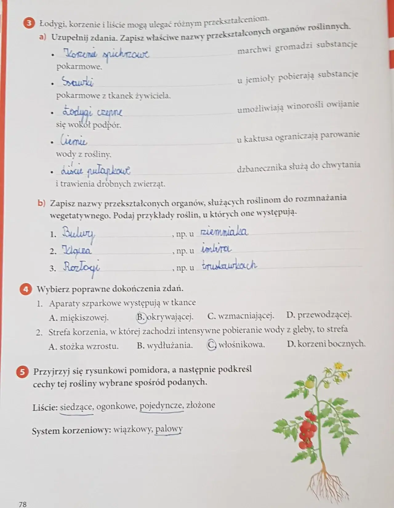 Zdjęcie Jak szybko nauczyć się na sprawdzian z biologii i uniknąć stresu?