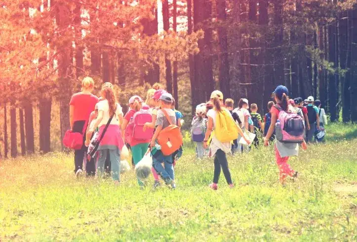 Zdjęcie Kto może być kierownikiem wycieczki szkolnej? Wymagania i zasady
