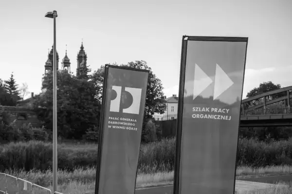 Praca organiczna: co to jest i czy ma sens dziś?