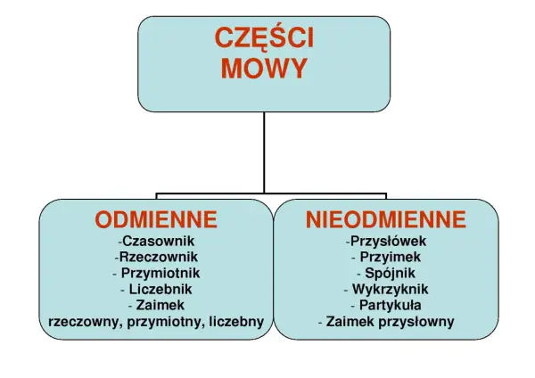 Części mowy a części zdania: Kluczowa różnica i jak je rozróżnić